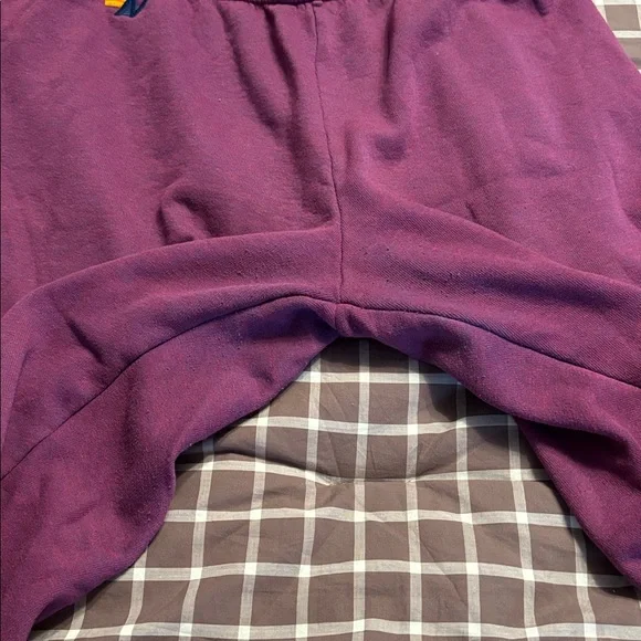 Aviator nation bolt sweatpants - Picture 6 of 8